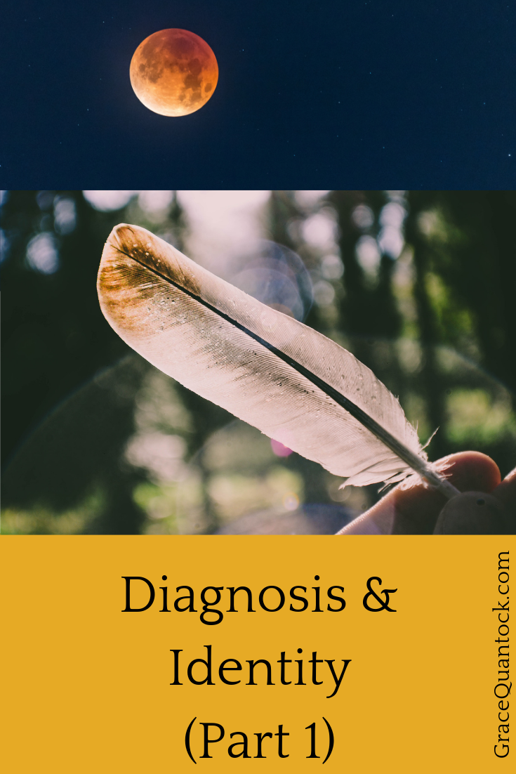 diagnosis and identity image of red moon and brown/white feather against woods