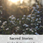 sacred stories - text over photo of light on white bush of flowers