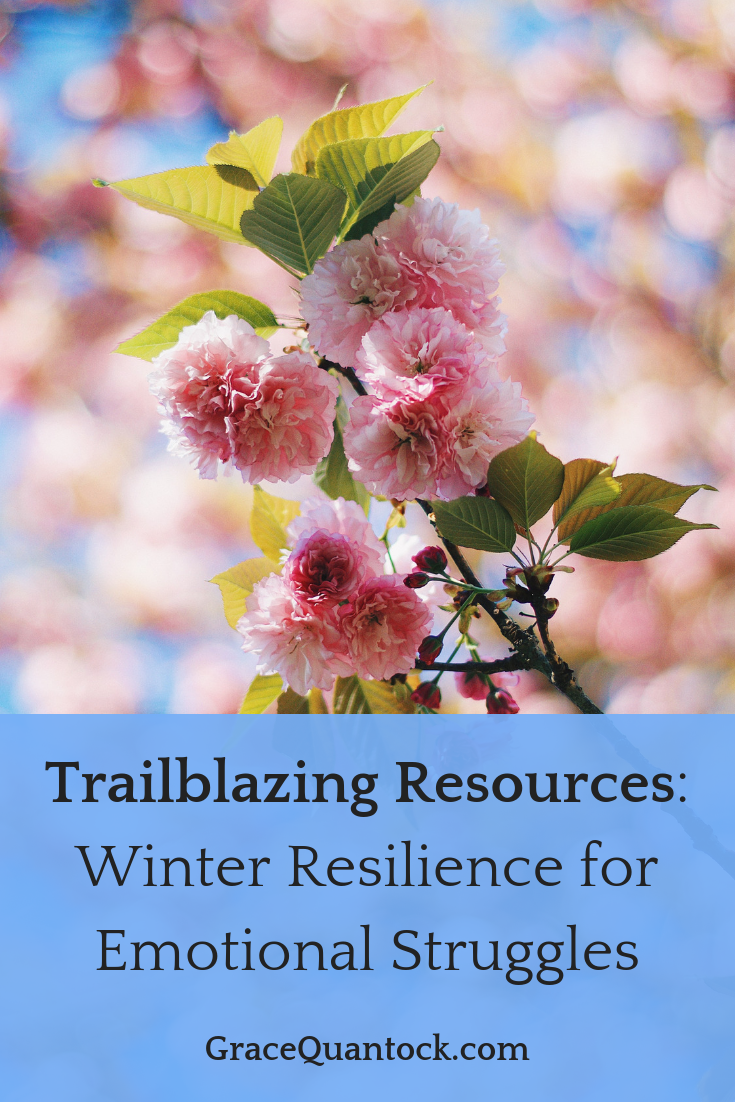 Trailblazing Resources - text over picture of cherry blossom pink on the tree