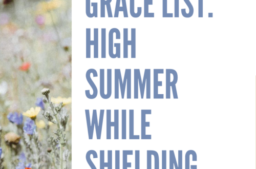 Grace and Gratitude List: High Summer While Shielding Edition - text next to photo of wildflower meadow with poppies and cornflowers
